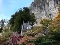 橋立堂(埼玉県)