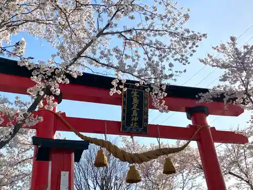 生島足島神社の鳥居