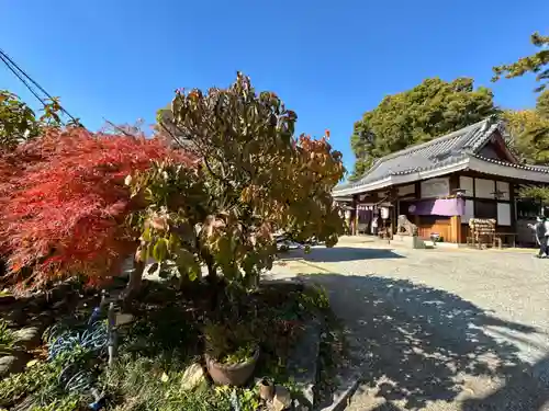 水堂須佐男神社(兵庫県)