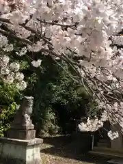 春日神社(福井県)