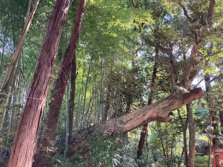 神岡稲荷神社(茨城県)