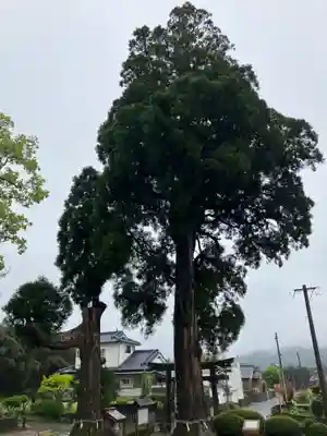 興玉神社(宮崎県)