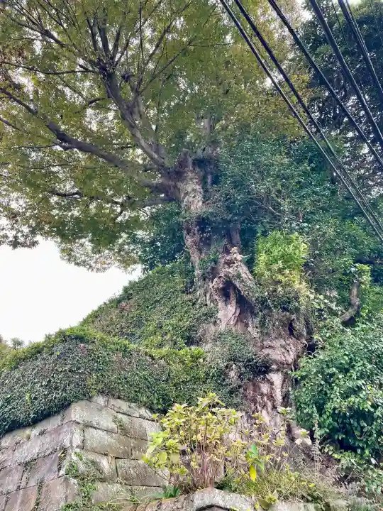 長壽寺(長寿寺)(神奈川県)