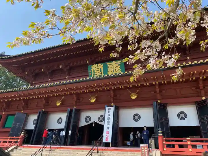 日光東照宮(栃木県)