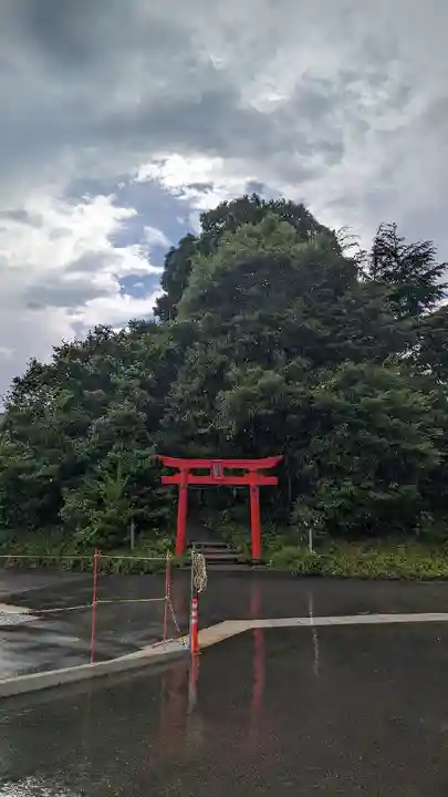 厳島神社(弁天山)(徳島県)