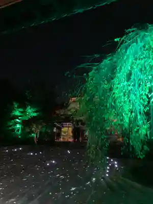 高台寺（高台寿聖禅寺・高臺寺）(京都府)