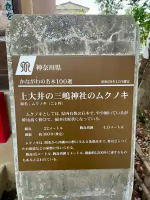 三嶋神社(神奈川県)