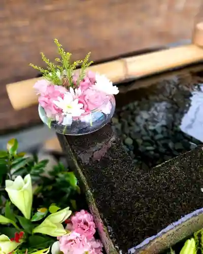 上尾御嶽神社の手水