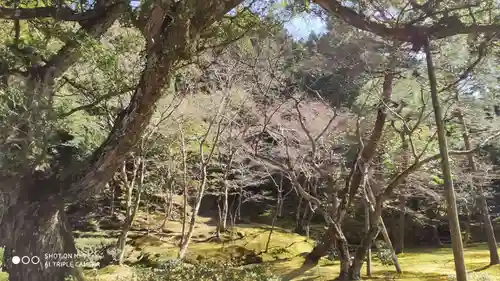慈照寺（慈照禅寺・銀閣寺）の自然