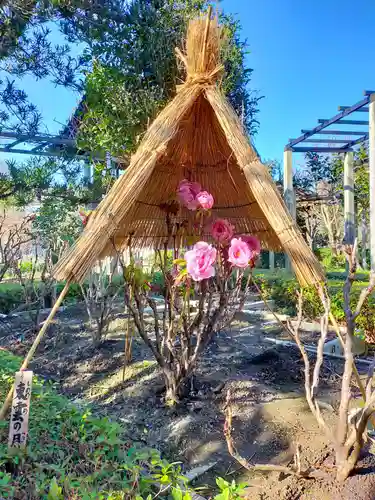 石光寺(奈良県)
