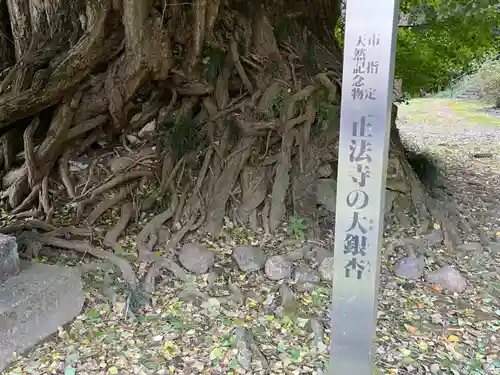 正法寺(埼玉県)