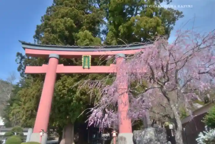 河口浅間神社(山梨県)