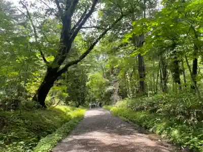 戸隠神社九頭龍社(長野県)
