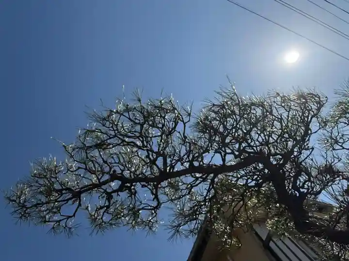 西方山極楽寺(岐阜県)