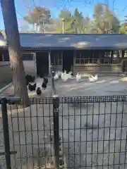 身曾岐神社の動物