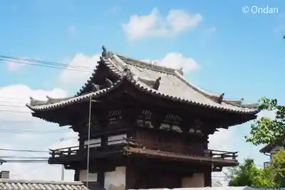 般若寺 ❁﻿コスモス寺❁(奈良県)