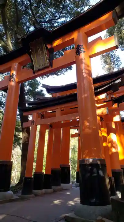 伏見稲荷大社の鳥居