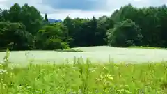 戸隠神社火之御子社の周辺