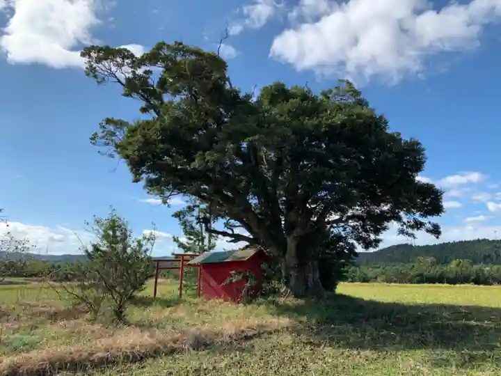 稲荷神社の景色