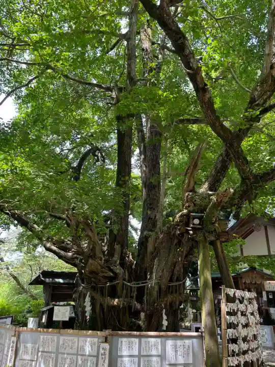伊那下神社(静岡県)