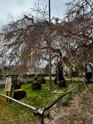 福徳寺(京都府)