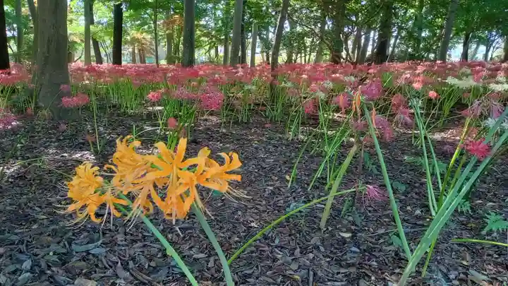 祖光院(千葉県)