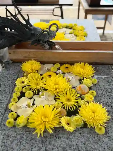 川越八幡宮(埼玉県)