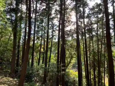 龍岳神社の自然