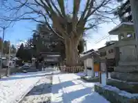 住吉神社のその他建物