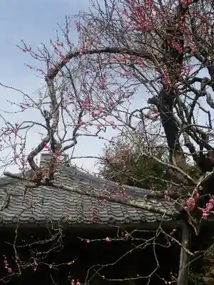 瑞泉寺のその他建物