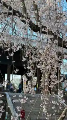 東郷寺(東京都)