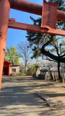 飛幡八幡宮の{uncategorized: "未分類", other: "その他", undefined: "問題あり", building: "その他建物", grave: "お墓", sacred_gate: "鳥居", guardian: "狛犬", statue: "像", buddha: "仏像", history: "歴史", nature: "自然", garden: "庭園", animal: "動物", pagoda: "塔", temizu: "手水舎", mountain_gate: "山門・神門", sanctuary: "本殿・本堂", subordinate: "末社・摂社", art: "芸術", scenery: "景色", jizo: "地蔵", ema: "絵馬", goshuin: "御朱印", omikuji: "おみくじ", items: "授与品その他", amulet: "お守り", goshuincho: "御朱印帳", eats: "食事", festival: "お祭り", votive_dance: "神楽", shichigosan: "七五三参", wedding: "結婚式", experience: "体験その他", initially: "初詣", around: "周辺", anti_infection: "感染症対策"}