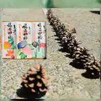 福井神社(福井県)