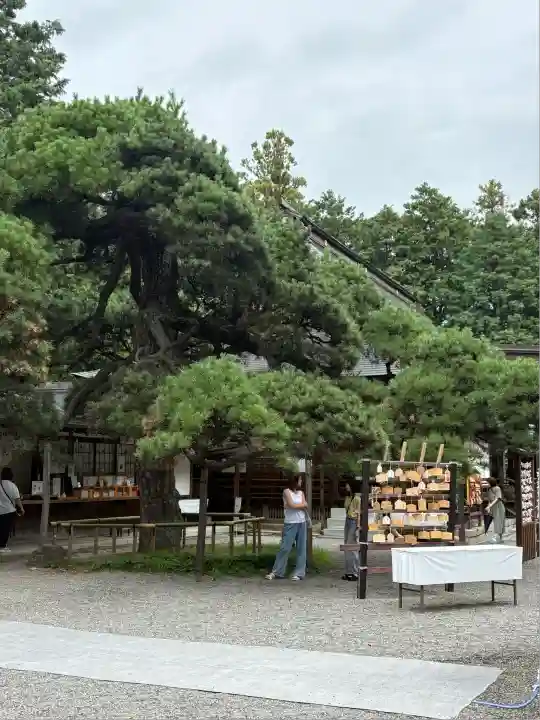 甲斐國一宮 浅間神社(山梨県)