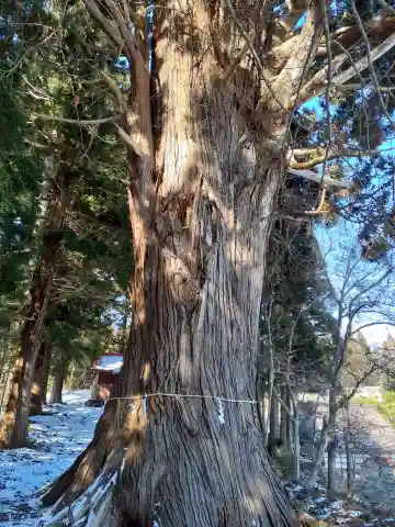 秋葉神社(岩手県)
