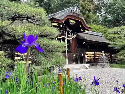 梅宮大社(京都府)
