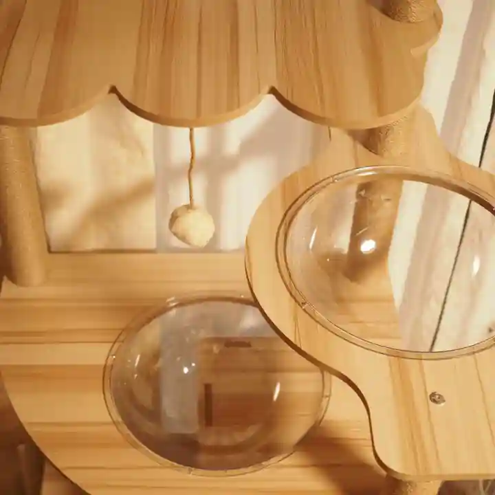 天王山 安楽寺(福井県)