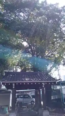 日置神社の手水舎