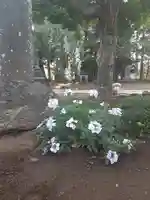 伏木香取神社の自然