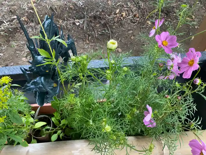 下野 星宮神社の手水舎