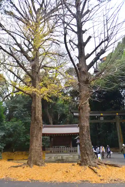 明治神宮(東京都)