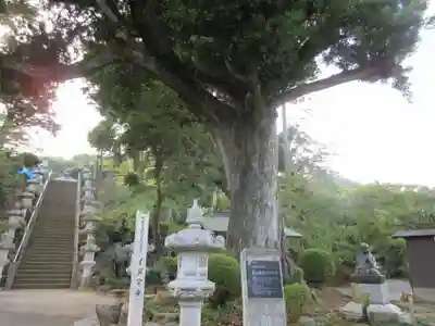 長谷寺のその他建物