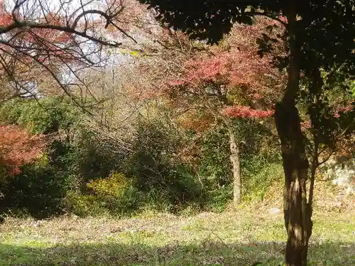 東勝寺跡の自然