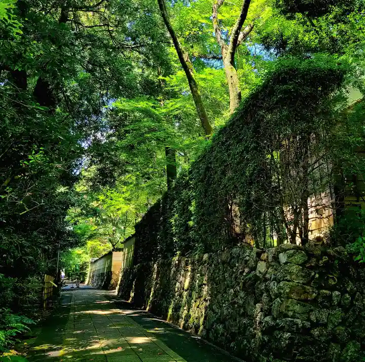 龍潭寺(静岡県)