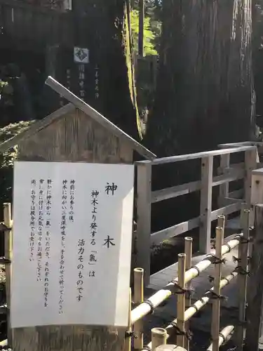 三峯神社(埼玉県)
