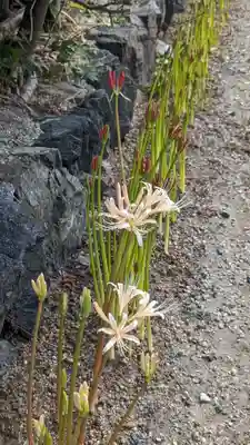 後白河院御聖蹟　法住寺の自然