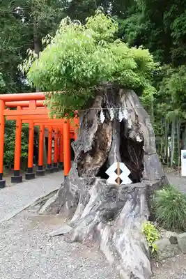 常磐神社(茨城県)