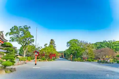 宇佐神宮(大分県)