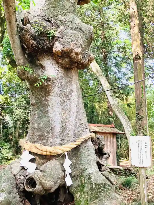 中村八幡宮(栃木県)