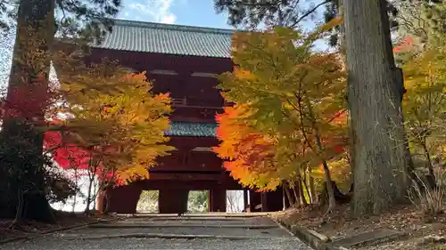 高野山金剛峯寺奥の院(和歌山県)